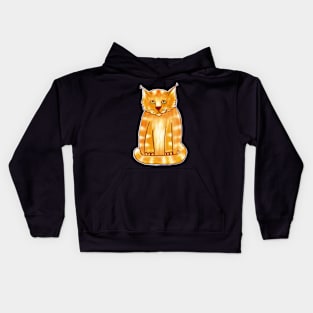 Orange Tabby Sticker Kids Hoodie